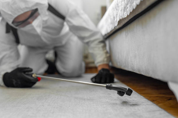 Professional Termite Control technician working in Thompson Falls, MT