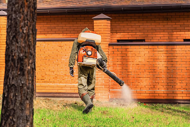 Top rated local Termite Control specialists in Thompson Falls, MT